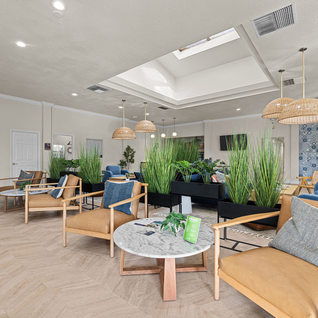 The Park at Positano - Lobby with Four Wooden Chairs and Green Plants