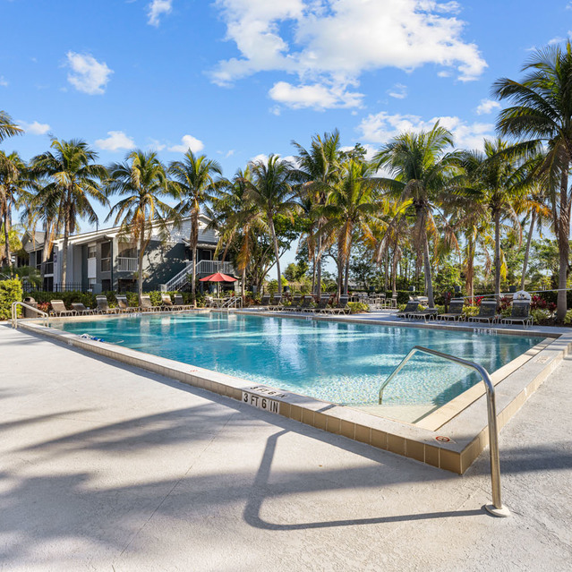 The Park at Positano - Swimming Pool with Palm Trees