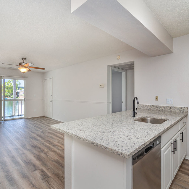 The Park at Positano - Kitchen Sink with the View of Living Area